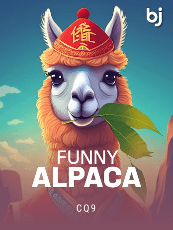 Funny Alpaca icon